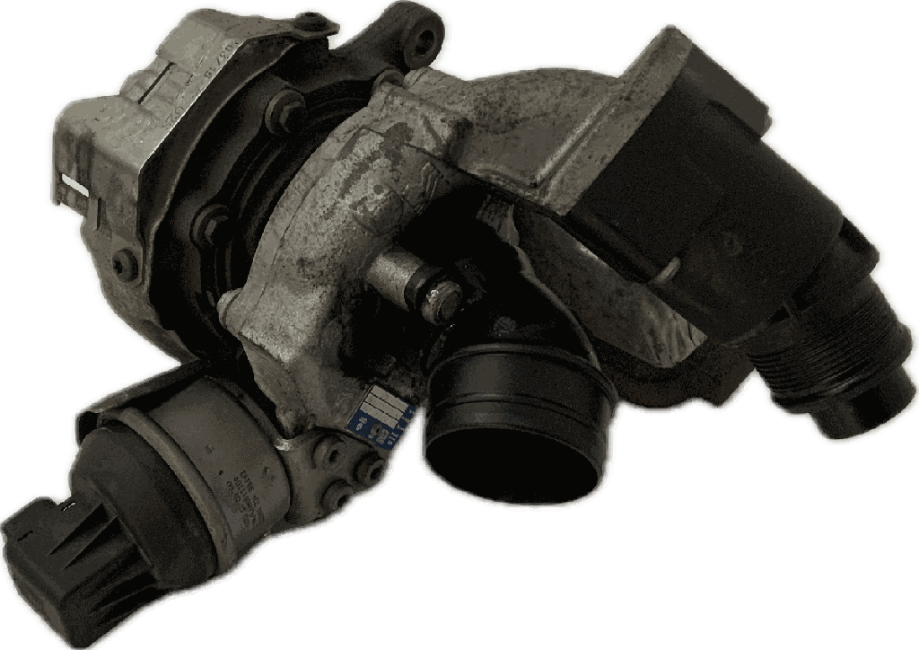 IMG_1194.png