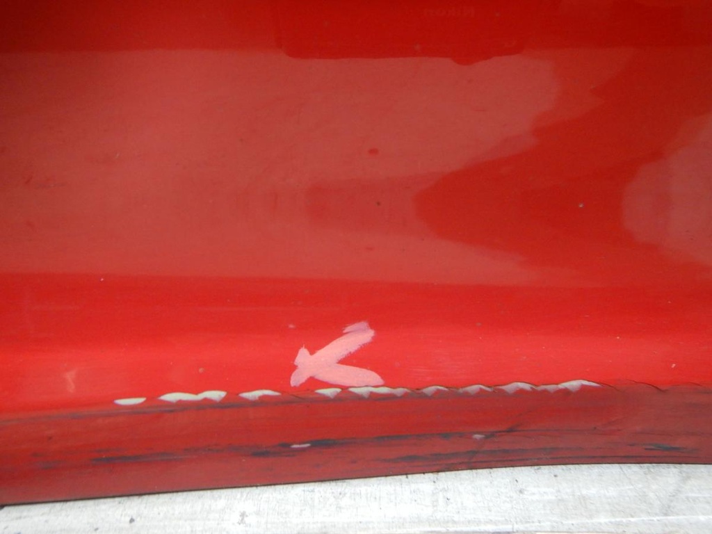 DSCN7345.JPG