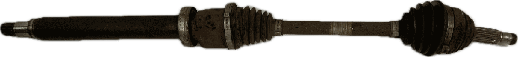 IMG_1814.png