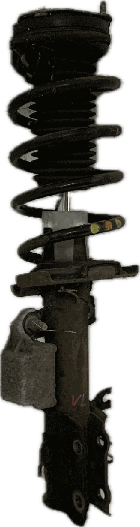 IMG_1800.png