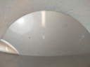 IMG_20251016_140617.jpg