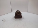 20251017_151321.jpg