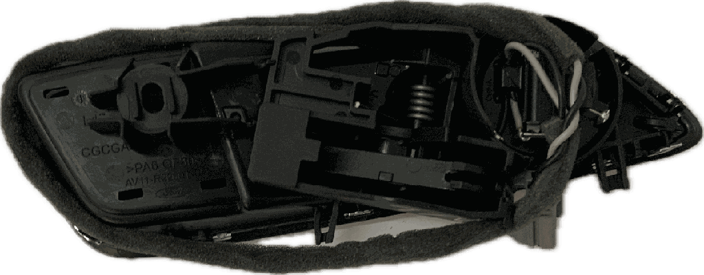 IMG_1946.png