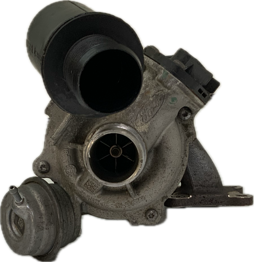IMG_1677.png
