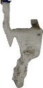 IMG_1901.png
