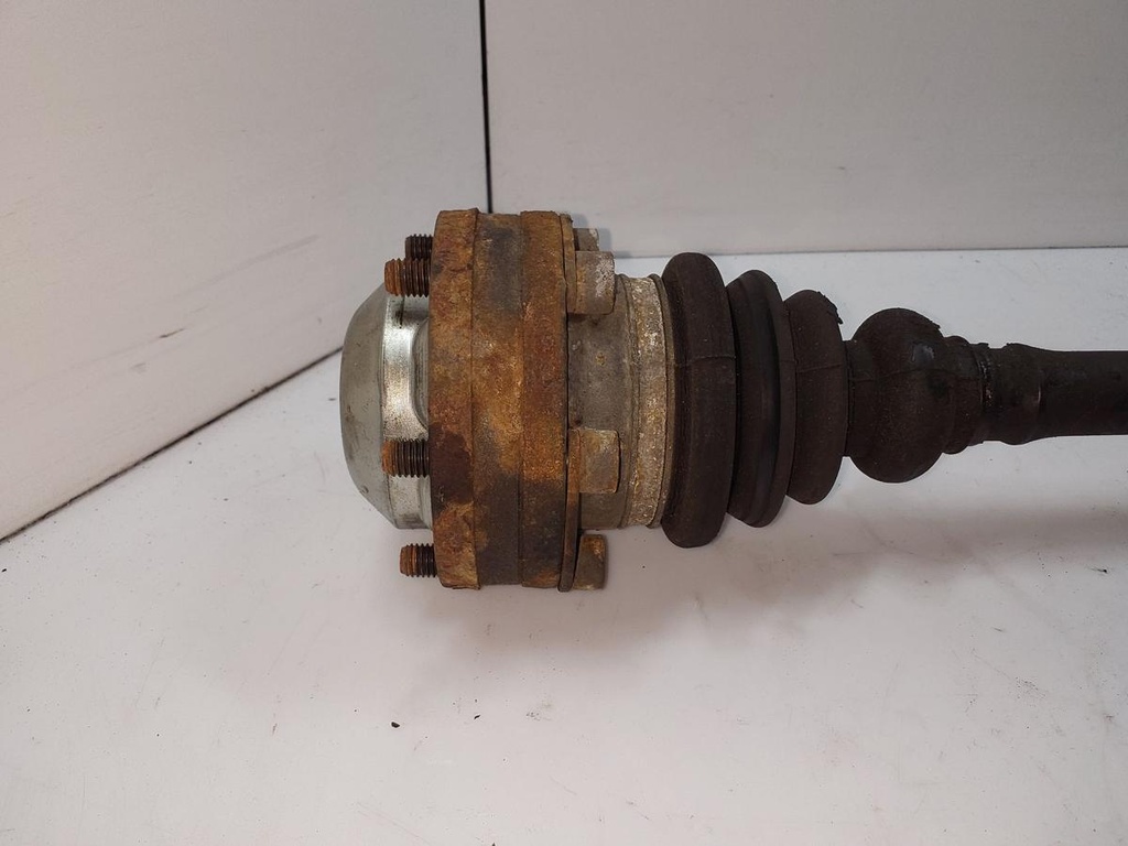 20251021_082631.jpg