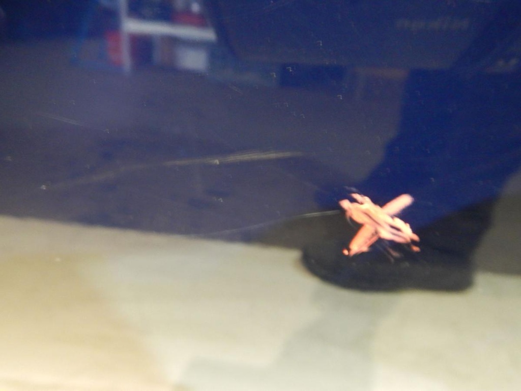 DSCN7544.JPG