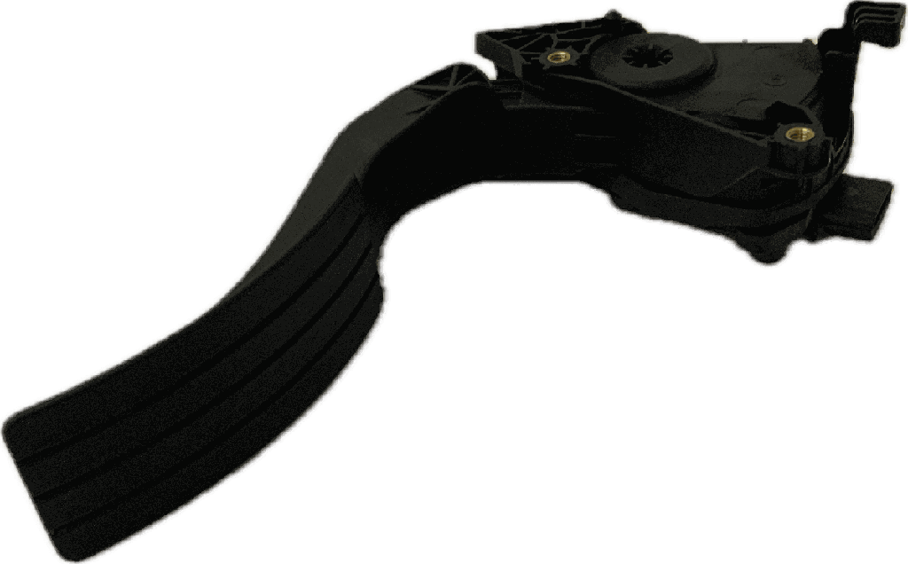 IMG_2679.png