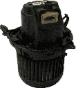 IMG_2596.png