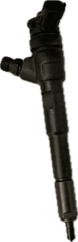 IMG_2559.png