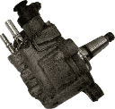IMG_2554.png