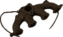 IMG_2442.png