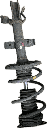 IMG_2772.png