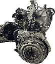 IMG_2816.png
