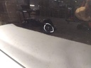 IMG_20251022_160053.jpg