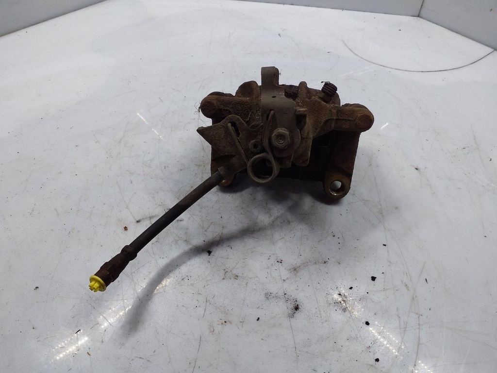 20251024_142342.jpg