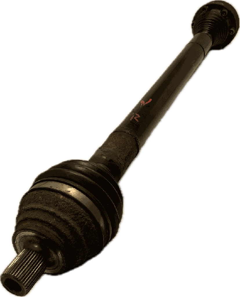 IMG_3228.png