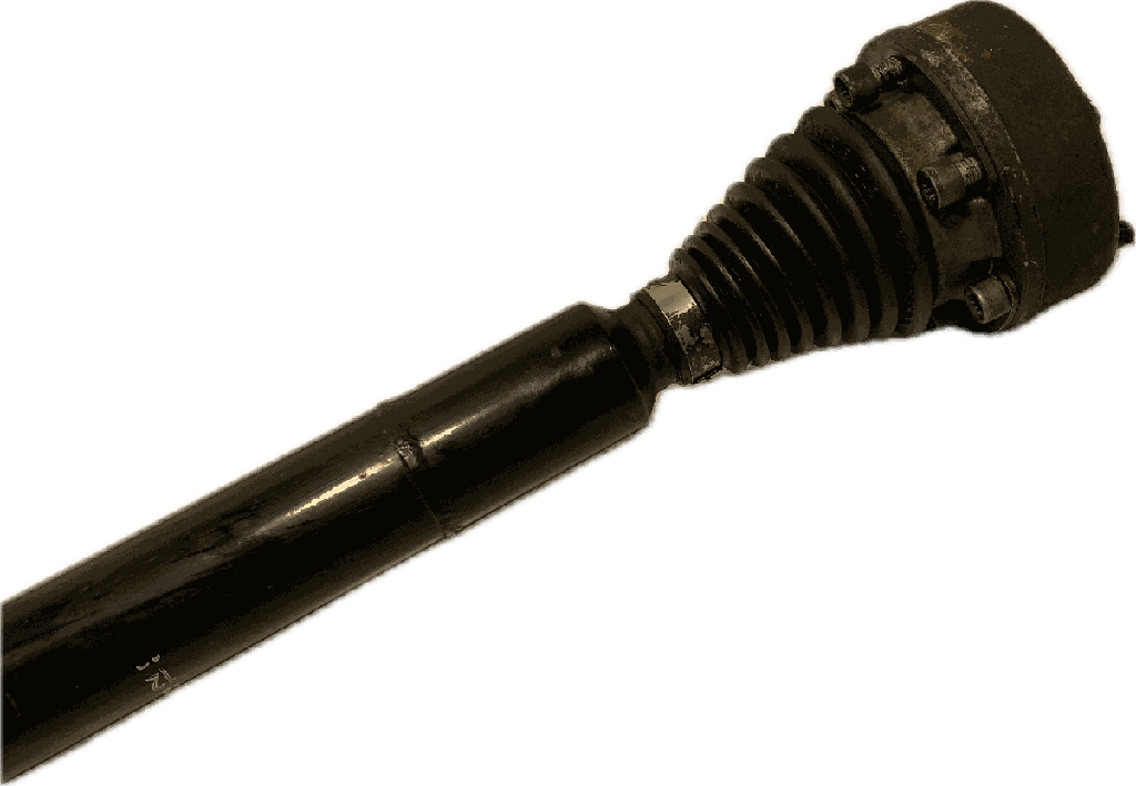 IMG_3229.png