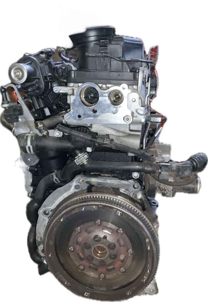 IMG_3273.jpeg