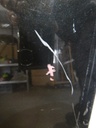 DSCN7803.JPG