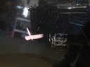 DSCN7795.JPG
