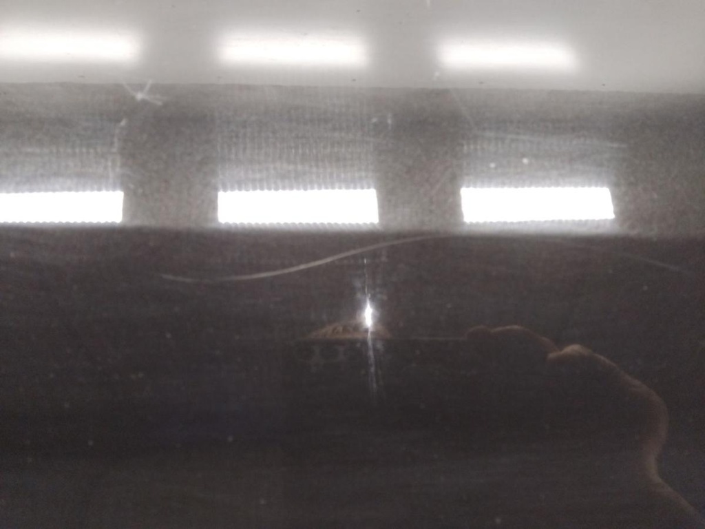 IMG_20251103_144842.jpg