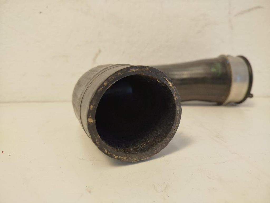 IMG_20251104_152047.jpg