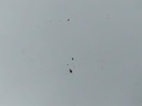 IMG_20251105_090658.jpg