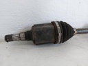 20251107_104521.jpg