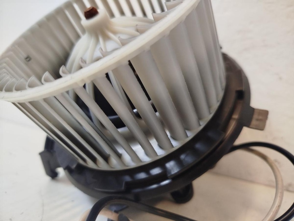 IMG_20251111_154619.jpg