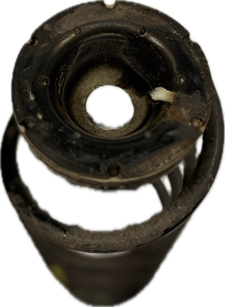 IMG_3652.png
