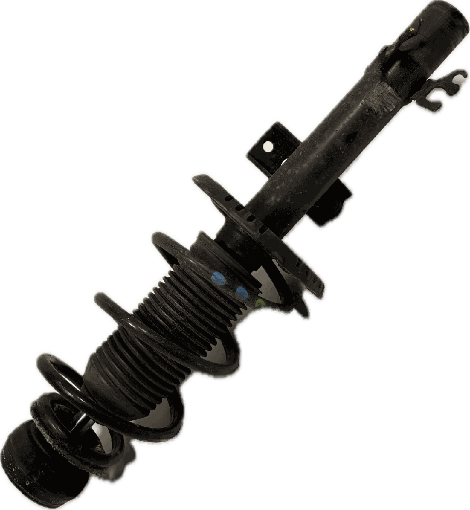 IMG_3723.png