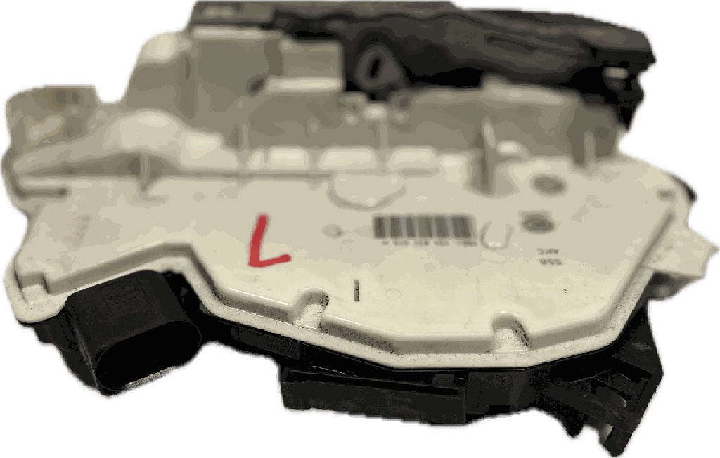 IMG_6176.png