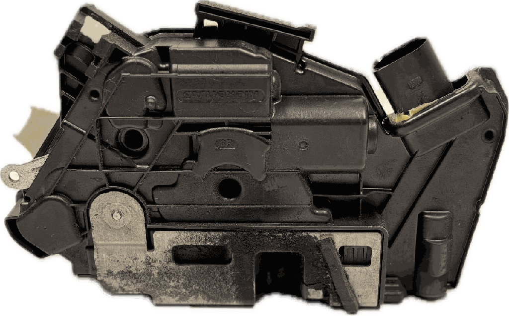 IMG_6181.png