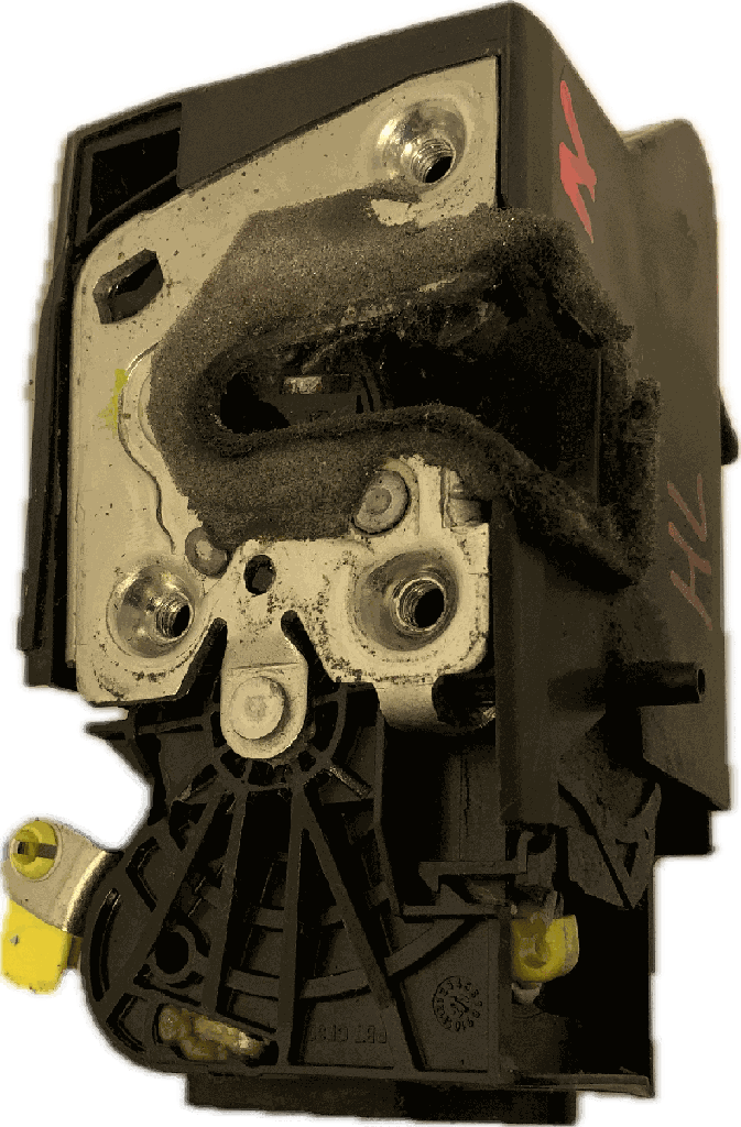 IMG_4053.png