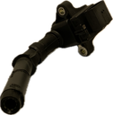 IMG_3981.png