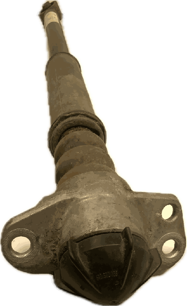 IMG_4624.png