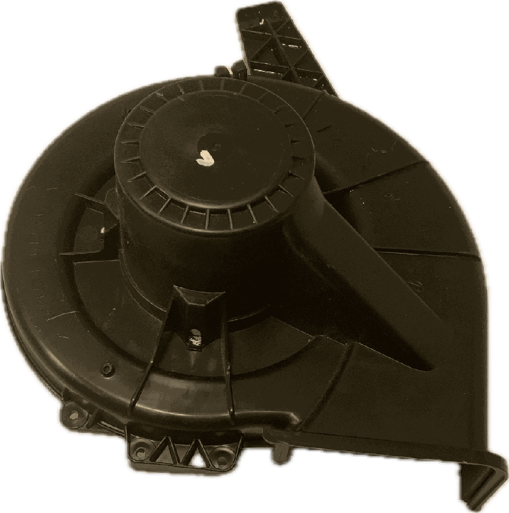 IMG_4486.png