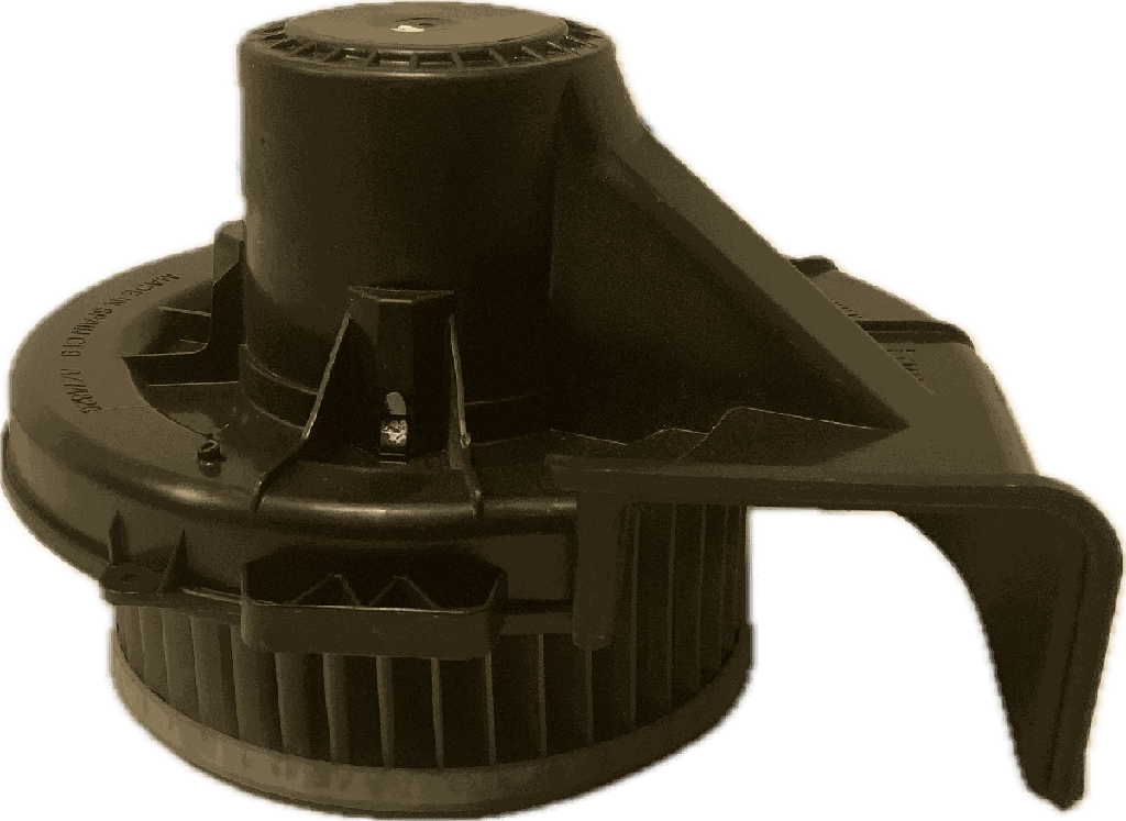 IMG_4487.png