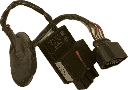 IMG_4447.png