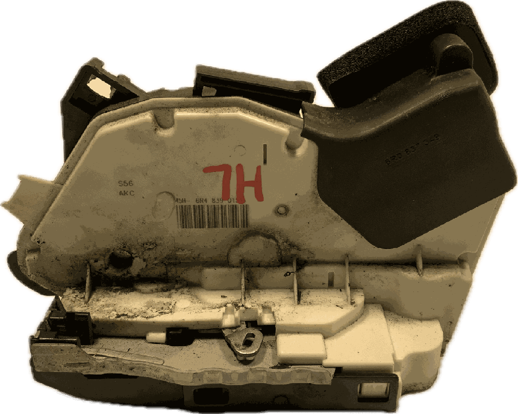 IMG_4559.png