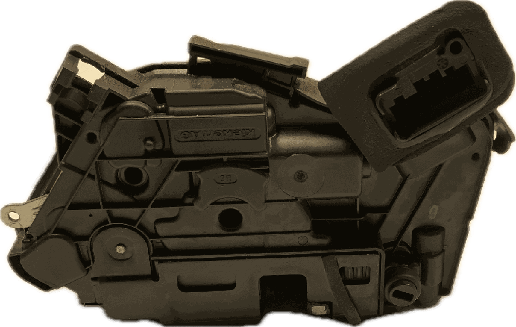 IMG_4563.png