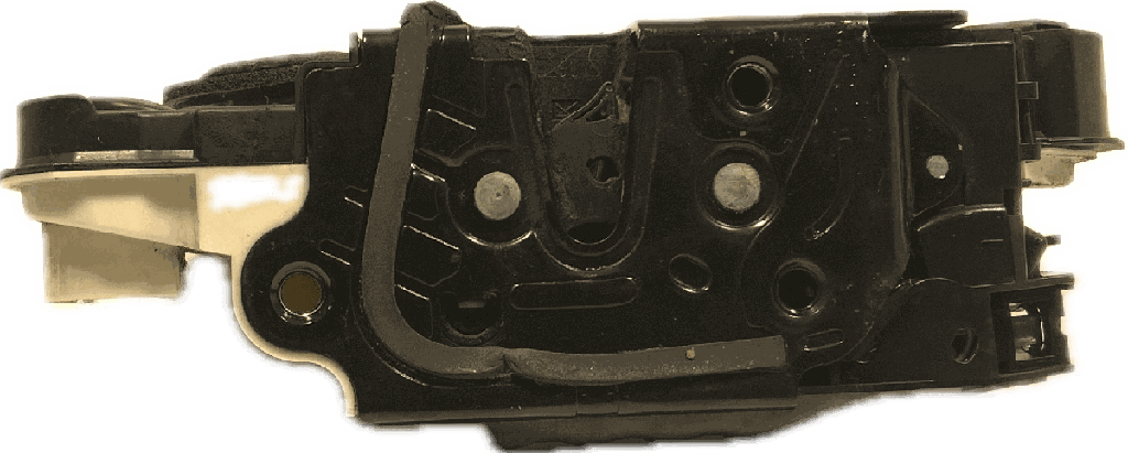 IMG_4555.png
