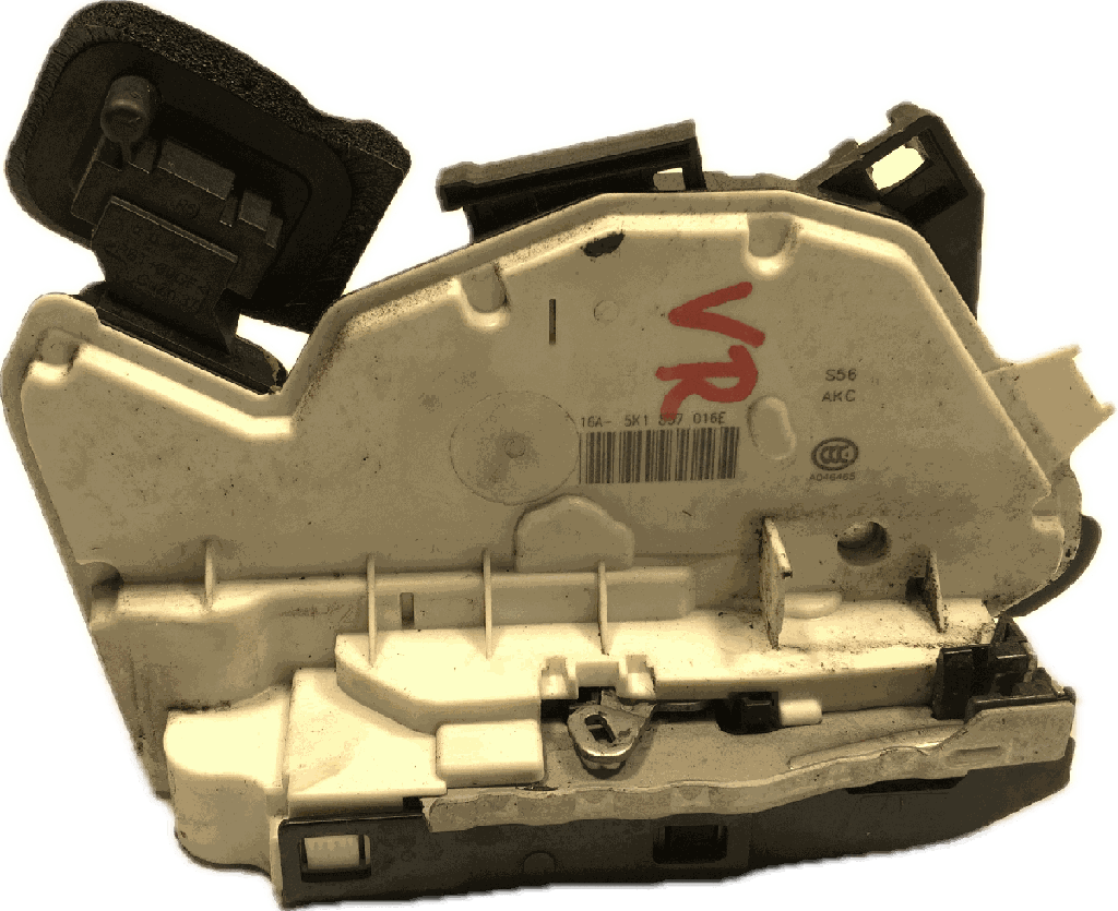 IMG_4556.png