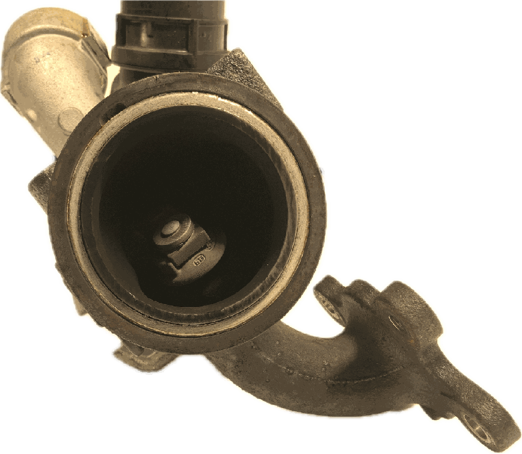 IMG_4584.png