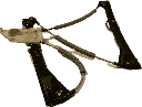 IMG_4666.png