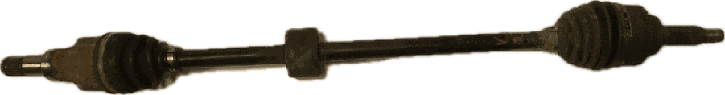 IMG_5144.png