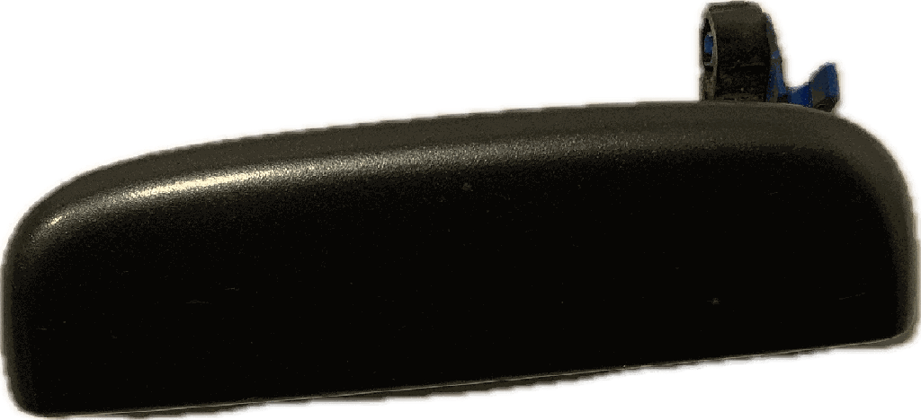 IMG_5013.png