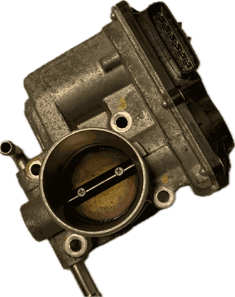 IMG_5050.png
