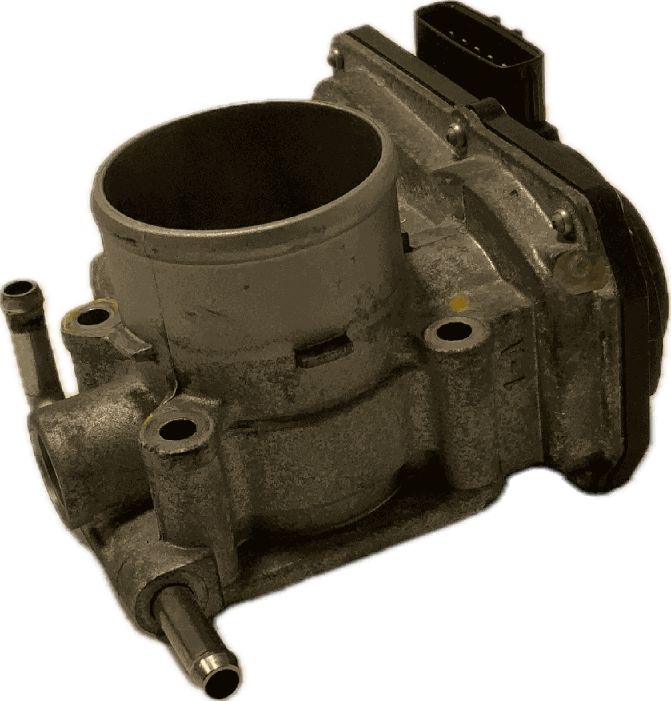 IMG_5049.png